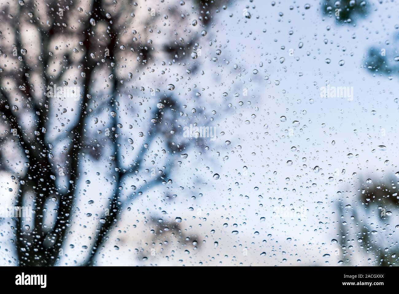 Drops of rain on the window; blue sky and blurred trees in the background Stock Photo
