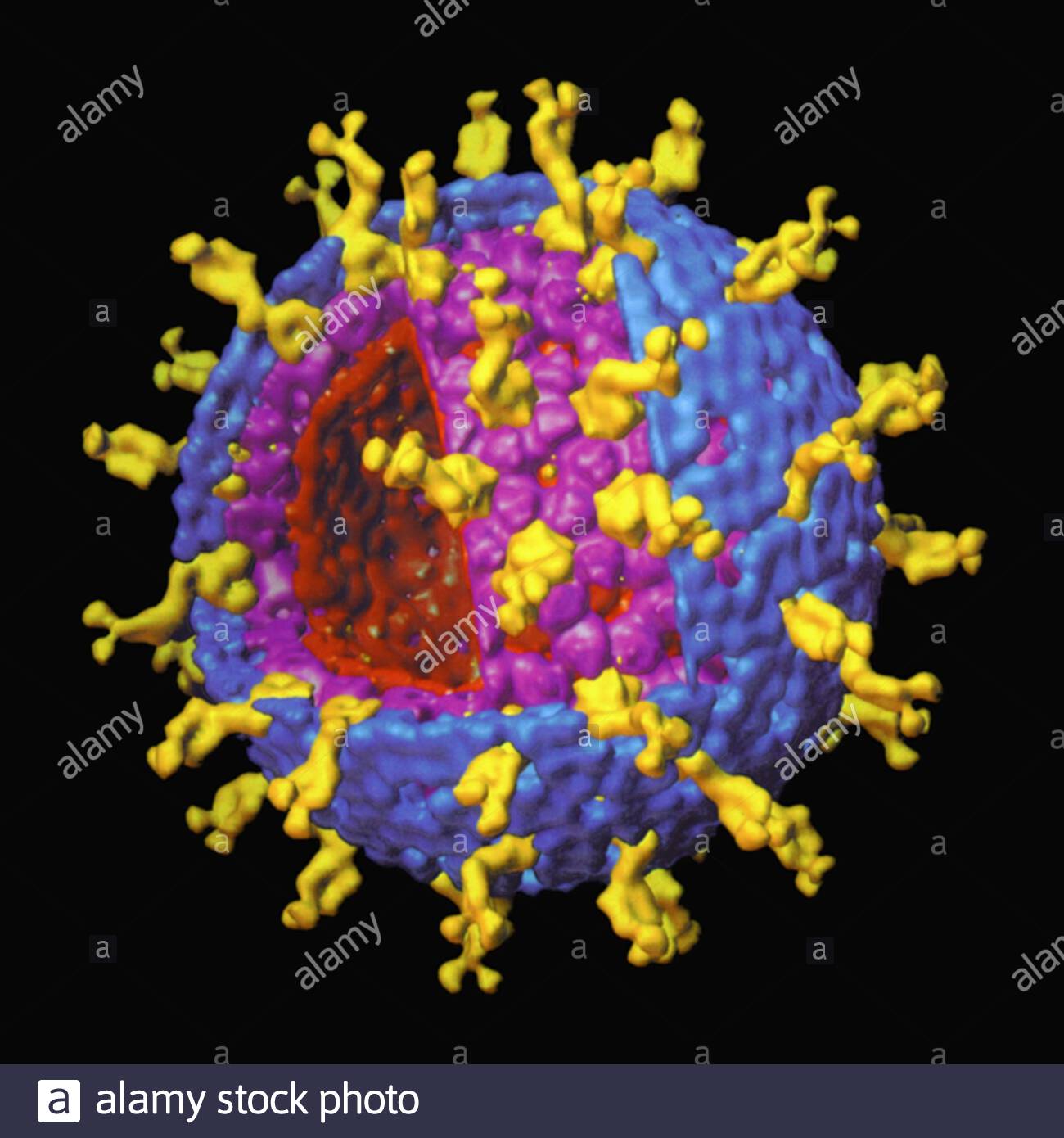тропическая диарея