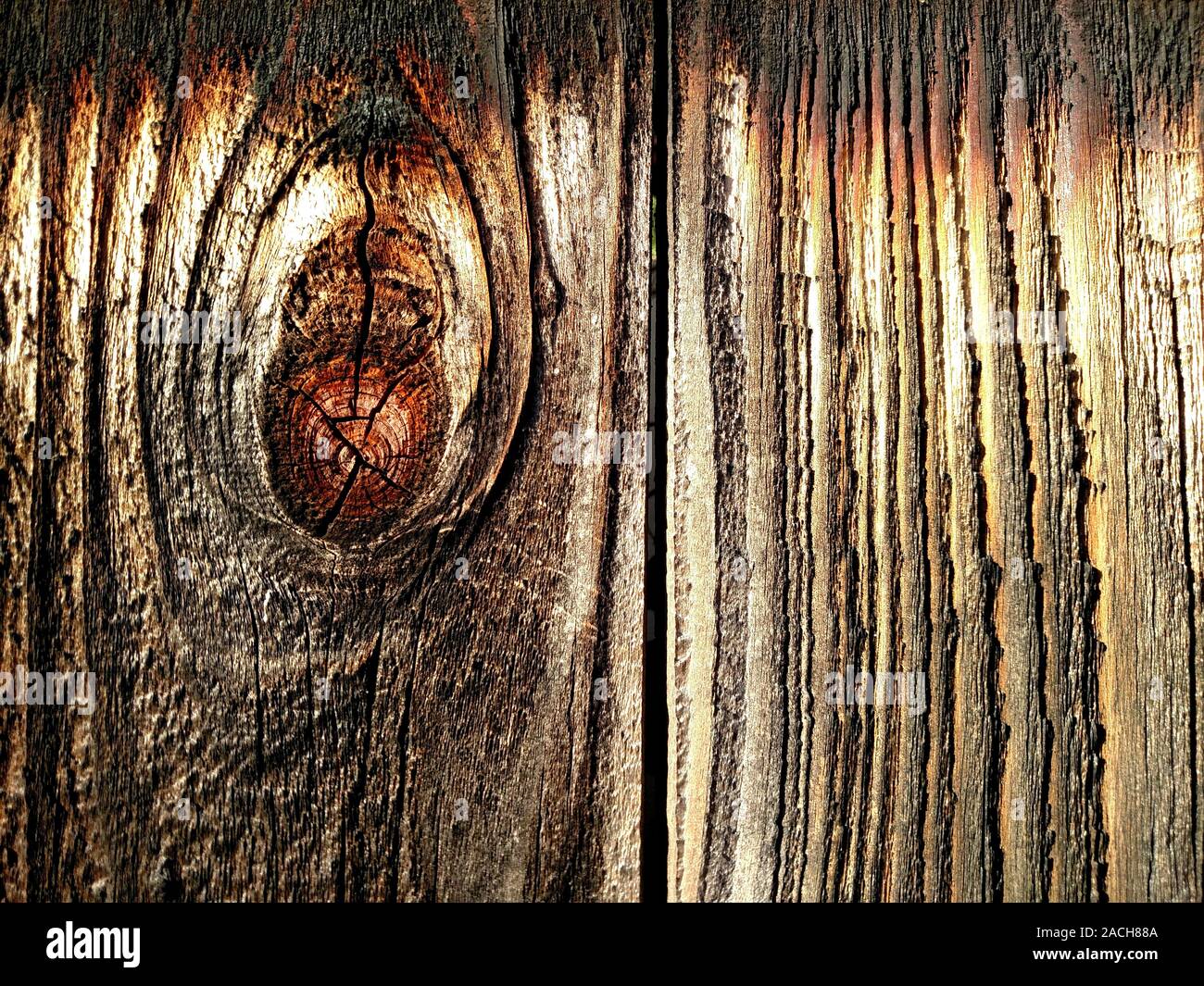 Wood grain patterns in a plank of wood in an old outdoor redwood fence Stock Photo