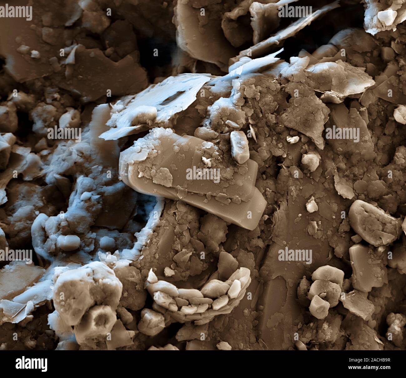 Clay-based paint. Coloured scanning electron micrograph (SEM) showing ...