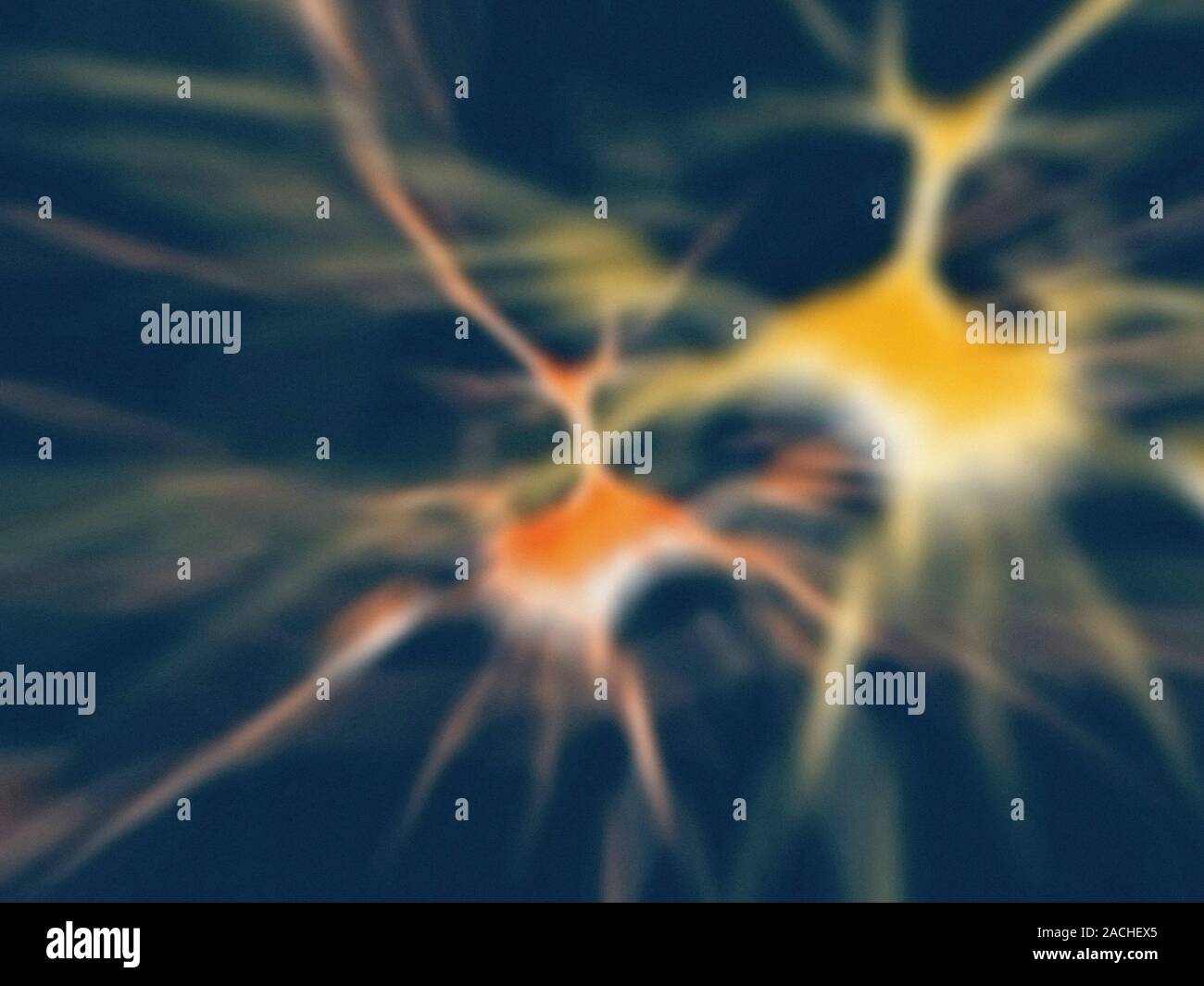 Nerve cells. Computer artwork of nerve cells, or neurons Stock Photo ...