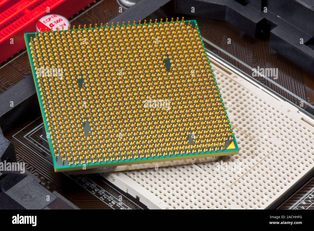 Computer central processing unit (CPU). This is the underside of an AMD  Phenom II CPU. It is a socket AM3 processor with four cores. The gold pins  see Stock Photo - Alamy