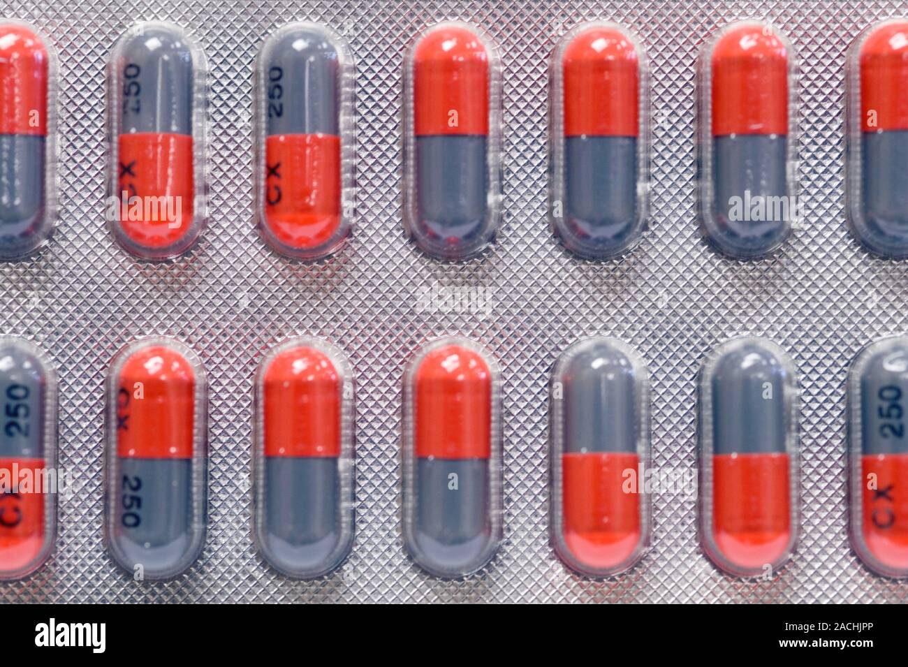 Cefalexin antibiotic drug. Close-up of a blisterpack of 250 mg capsules ...