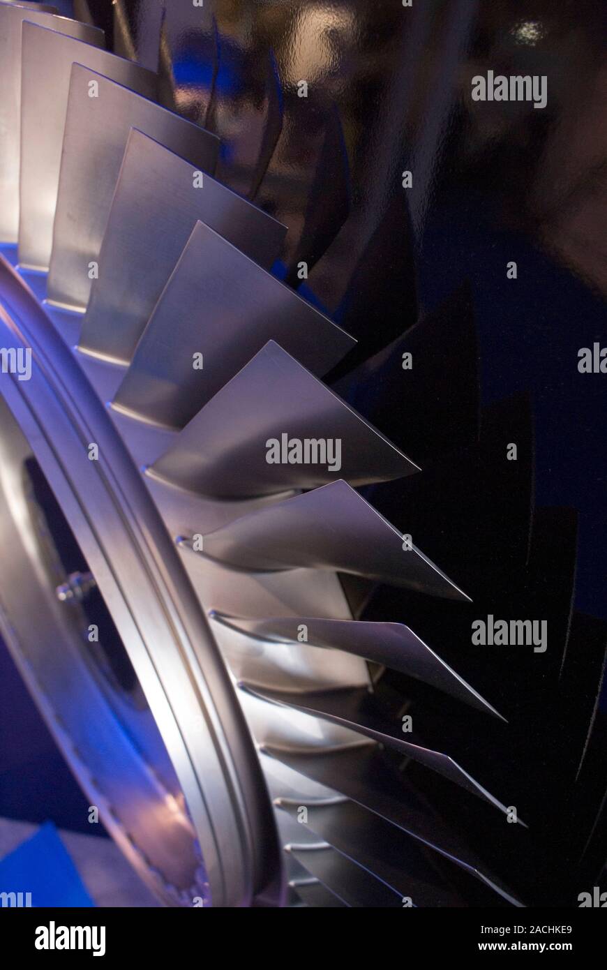 Aircraft engine fan blades. An example of the art in engineering and technology. Photographed at