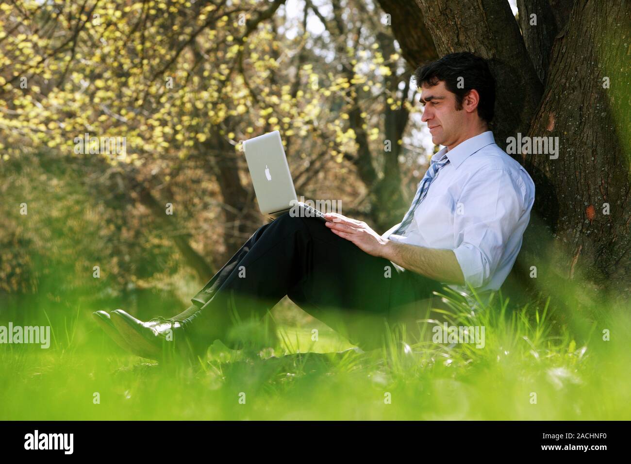Office worker in a park using a laptop computer. Stock Photo