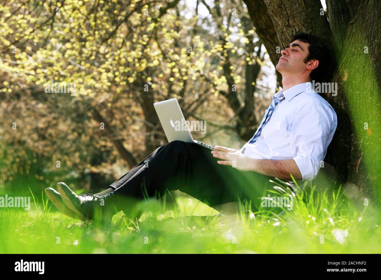 Office worker in a park using a laptop computer. Stock Photo