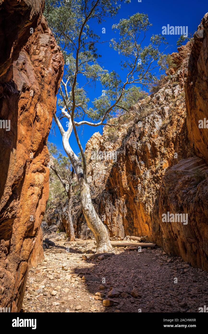 Standley Chasm in the West MacDonnell Ranges in the remote Northern Territory of central Australia. Stock Photo