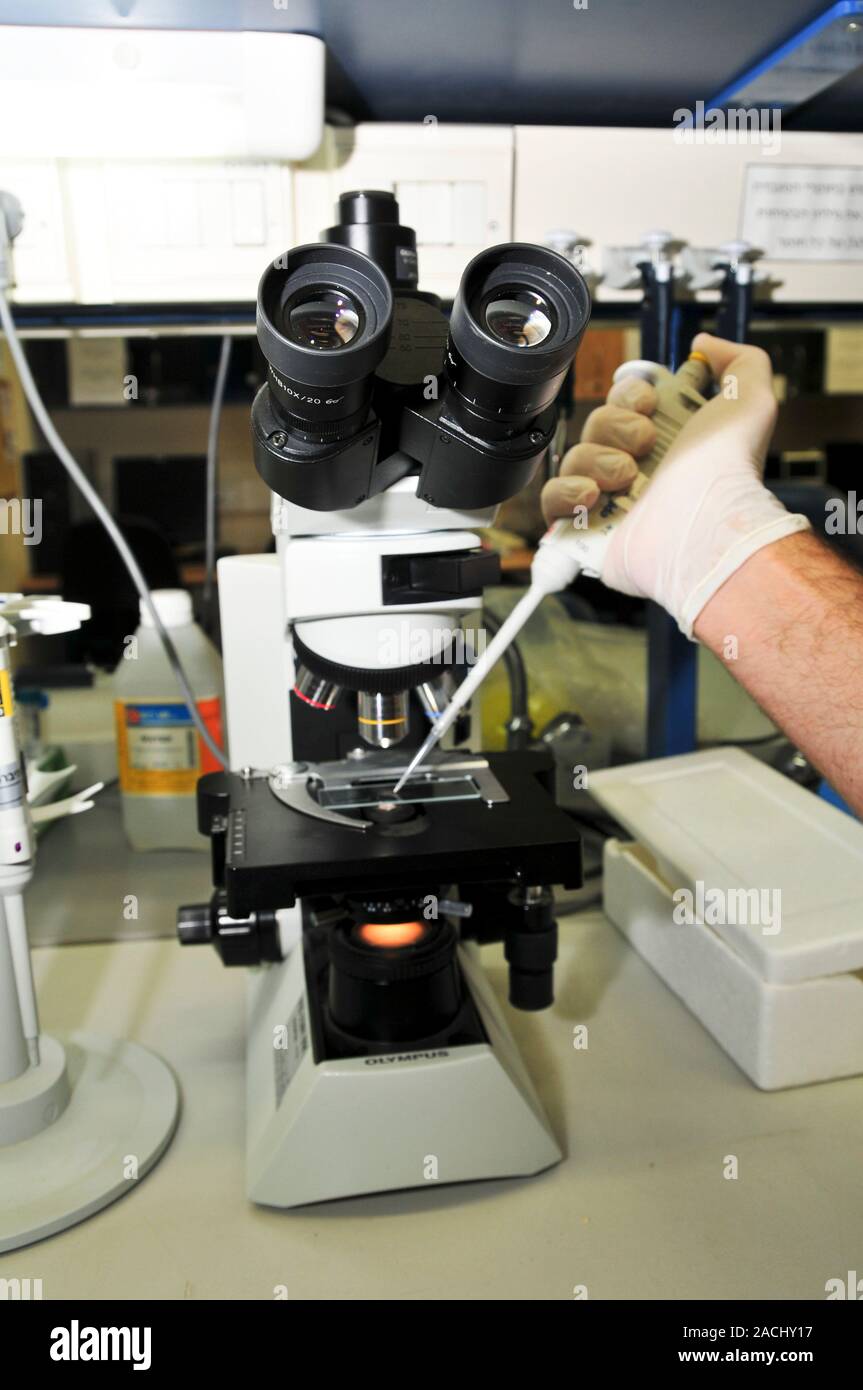Research Laboratory. Technician pipetting substance onto a glass slide