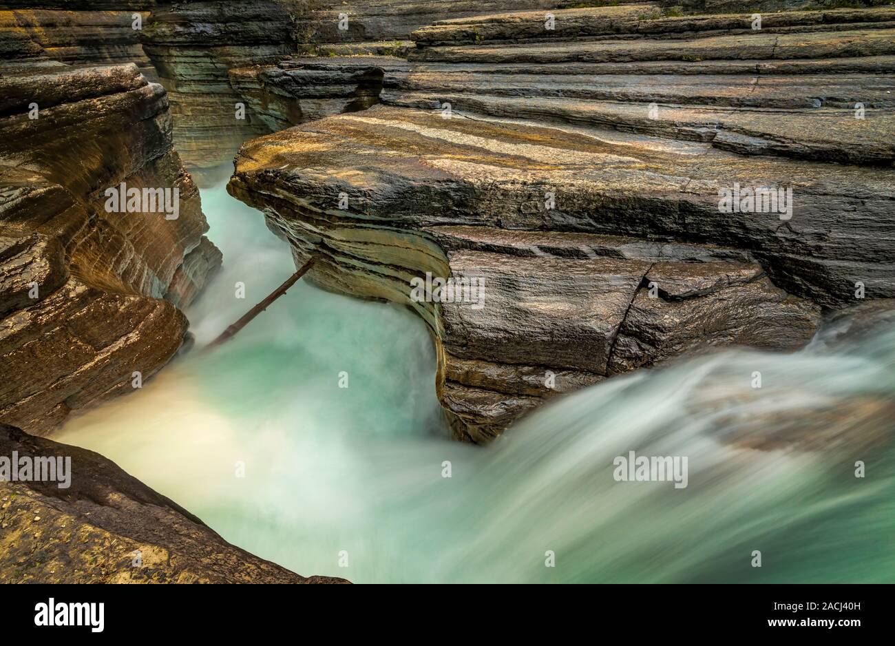 Mistaya Canyon-Banff National Park. Stock Photo