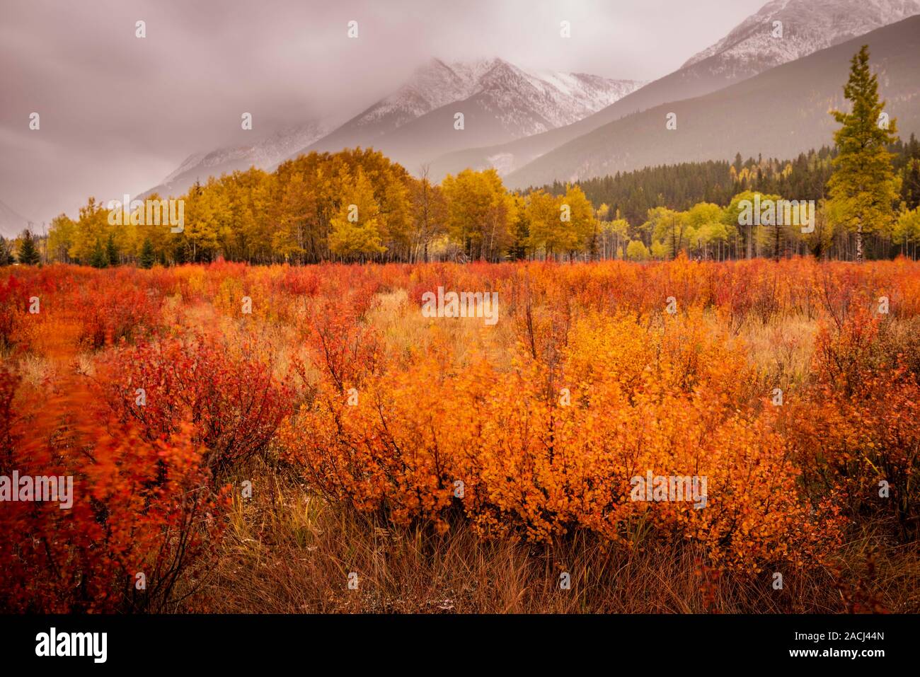 Winter Scene-Canadian Rockies, Kananaskis, Alberta, Canada Stock Photo