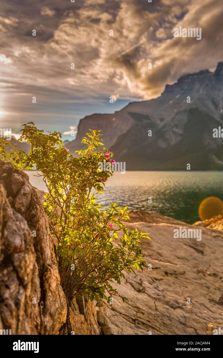 Lake Minnewanka-Banff National Park, Alberta, Canada Stock Photo