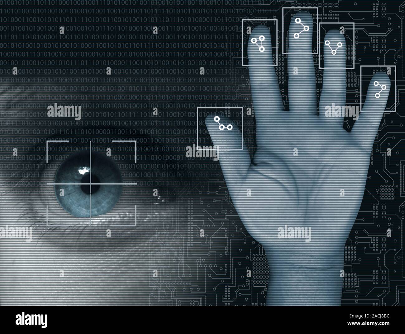 Сканирование лица человека. Биометрические данные фото. Биометрический имена. Биометрический имена. Биометрия персональные данные.