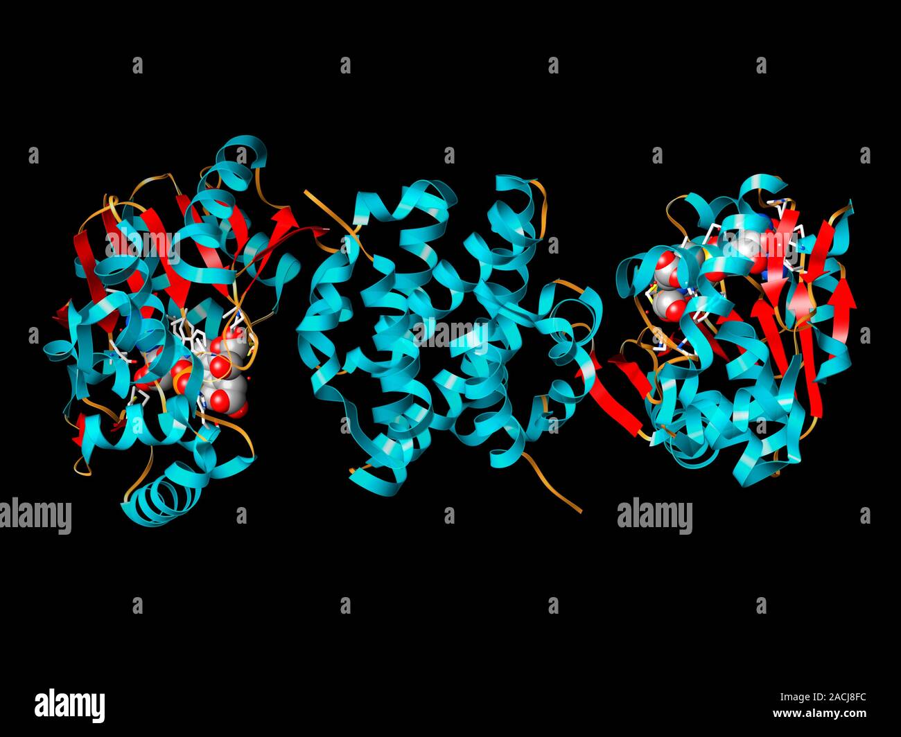 Ironhydrogenase molecule. Computer model showing the molecular