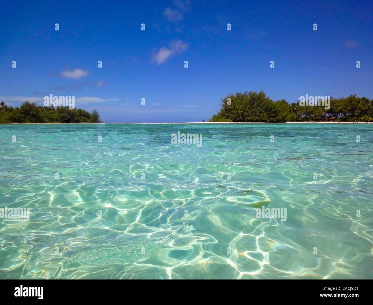 Fabulous tropical waters of Muri Lagoon with palm tree lined beach paradise at Rarotonga in the Cook  islands Stock Photo