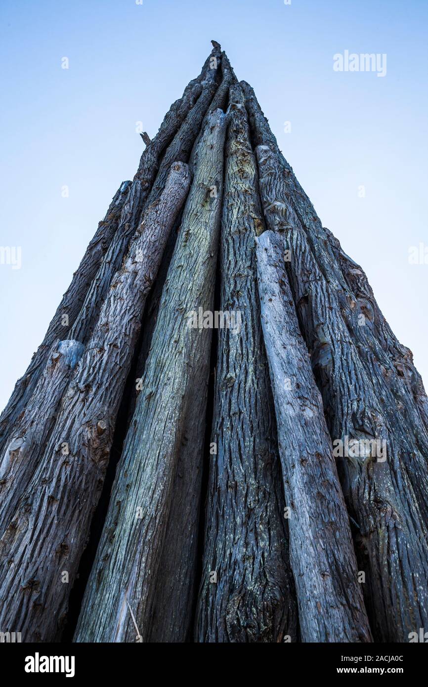 The art instalation, Spire by Andy Goldsworthy in the Presidio, San Fransisco, California, USA. Stock Photo