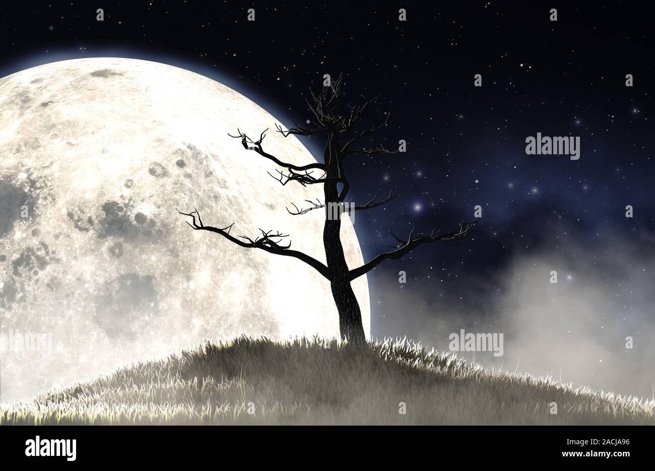 A concept image showing a dead leafless tree on a grassy hill at night on the backdrop of a full moon and starry night background - 3D render Stock Photo