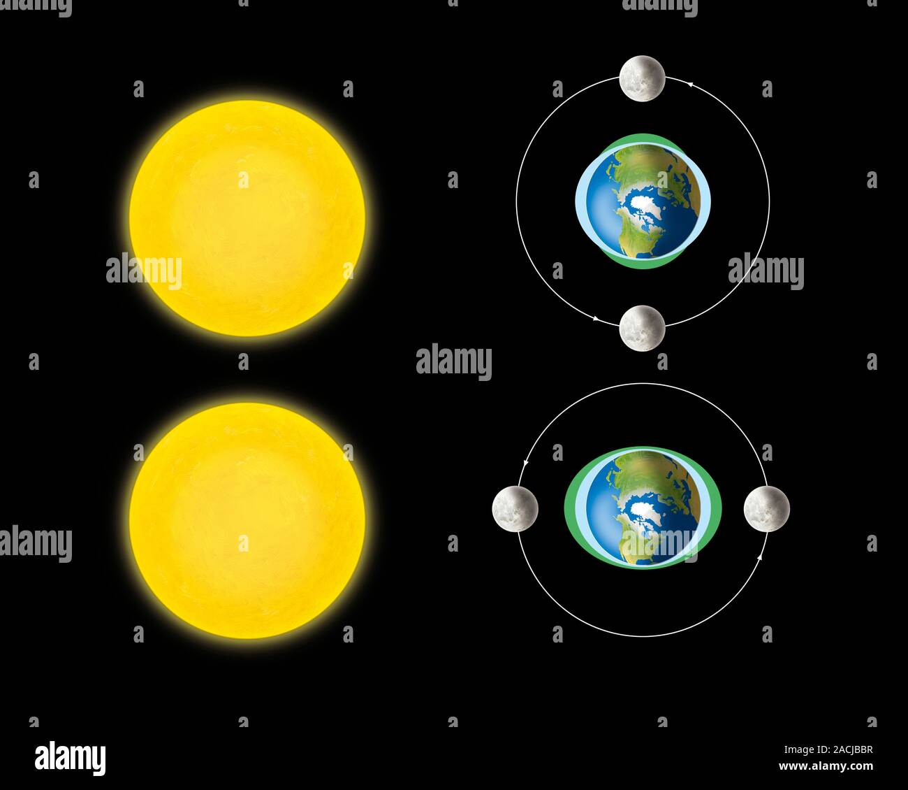Neap and spring tides. Diagram showing the Sun (yellow) and Moon (grey