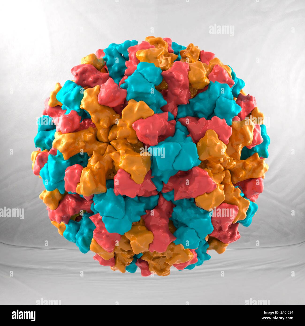 Artwork of the Norovirus (previously the Norwalk virus) showing the outer coat (capsid) of