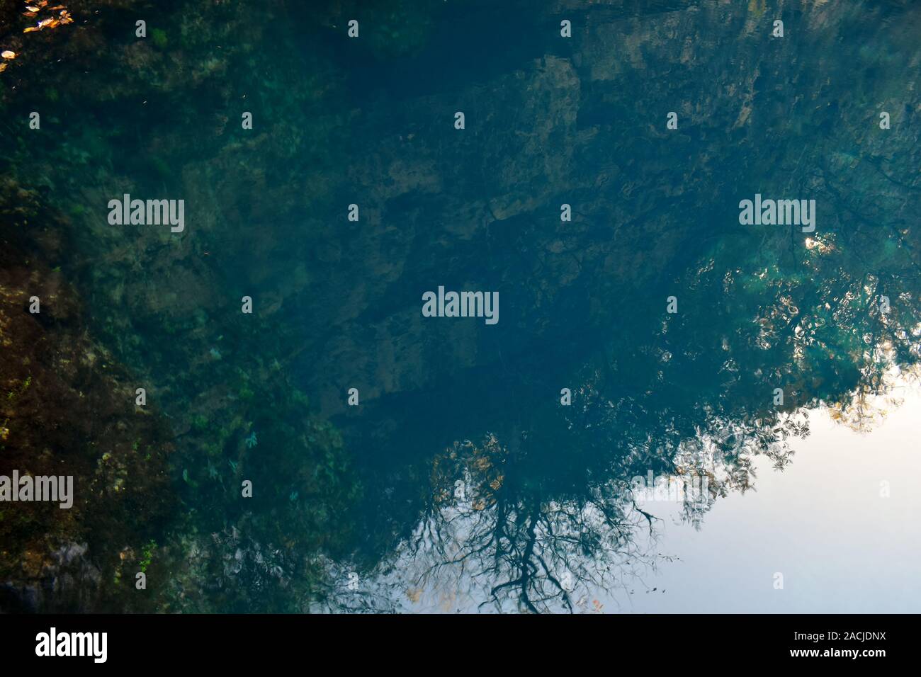 The deep blue waters of Blue Spring, on the Current River, near