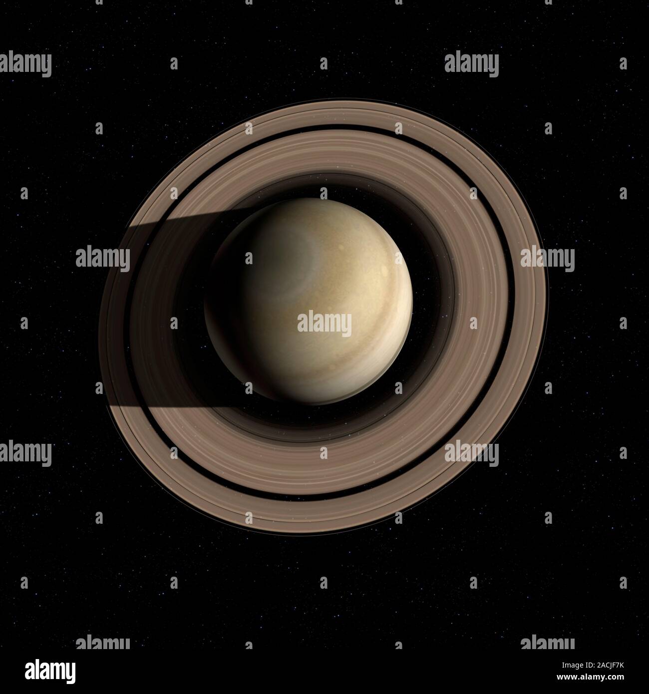 My Image 26