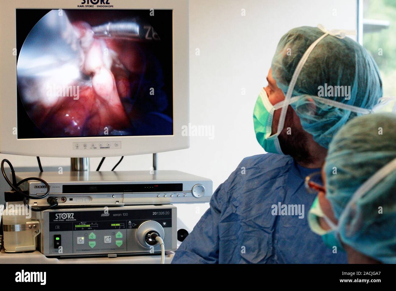 Veterinary surgery. Vets operating on a dog using endoscopic and