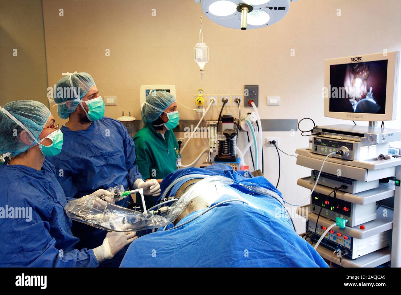 Veterinary surgery. Vets operating on a dog using endoscopic and