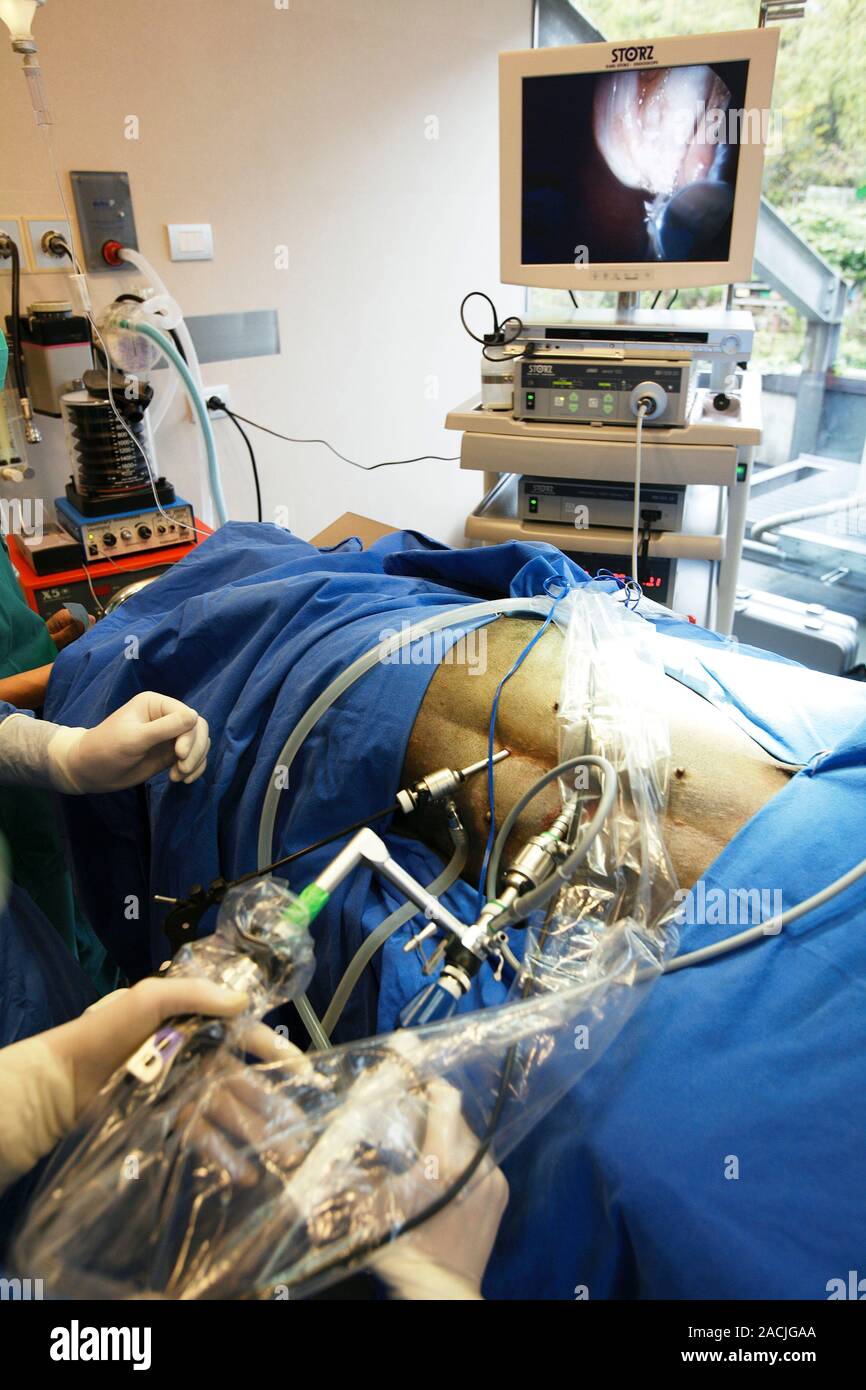 Veterinary surgery. Vets operating on a dog using endoscopic and