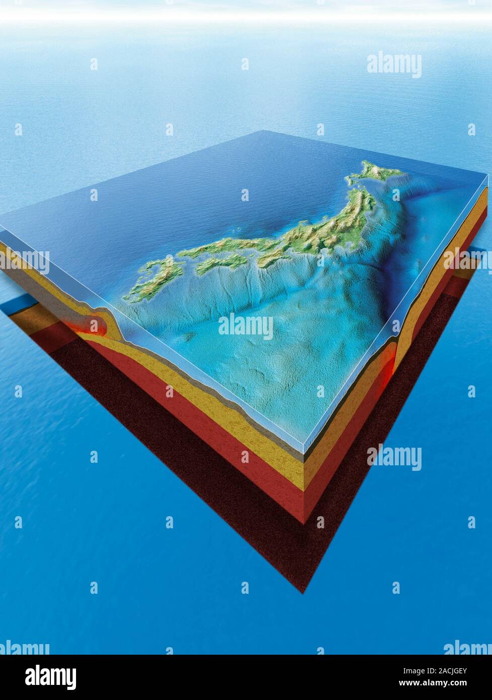 Japan's plate tectonics. Computer artwork showing the islands of Japan