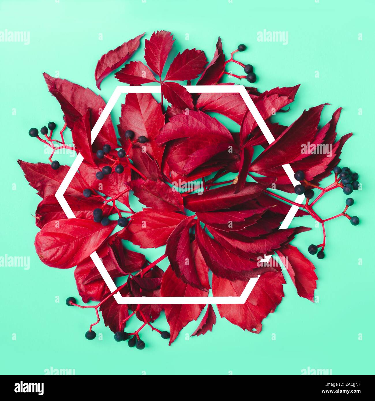 Red hexagon pattern hi-res stock photography and images - Alamy
