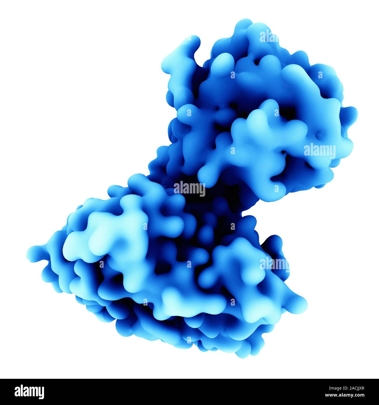 Computer artwork surface representation of Shiga toxin type 2 (Stx2