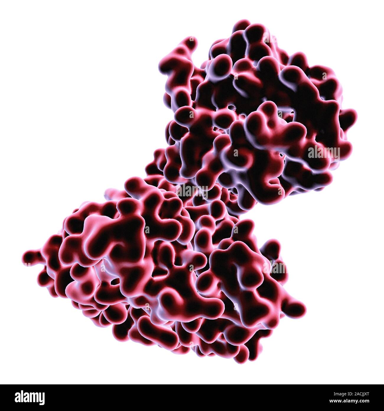 Computer artwork surface representation of Shiga toxin type 2 (Stx2