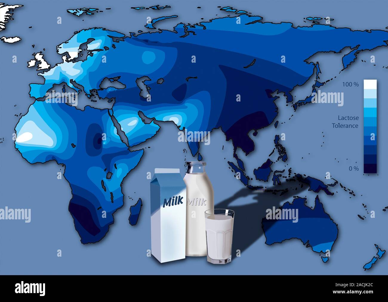 Lactose tolerance. Map of Eurasia, African and Australia, showing the