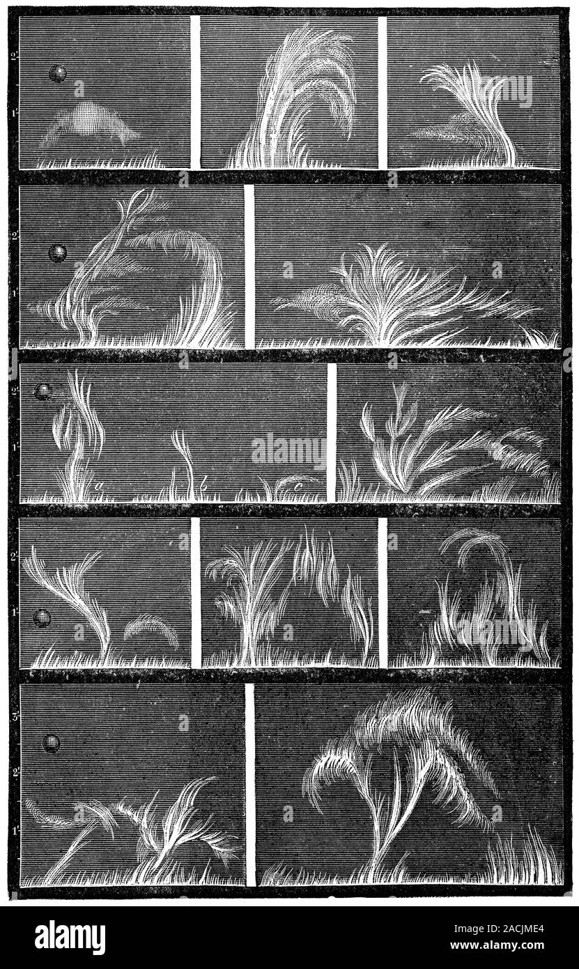 Solar spectroscopy. Artwork of solar eruptions combined with ...