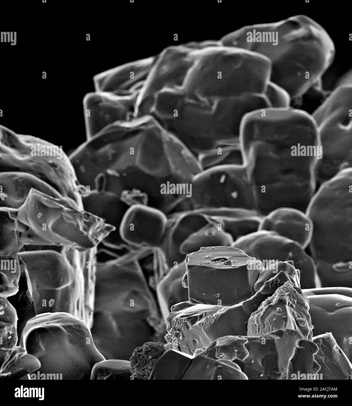 Table salt, scanning electron micrograph (SEM Stock Photo Alamy