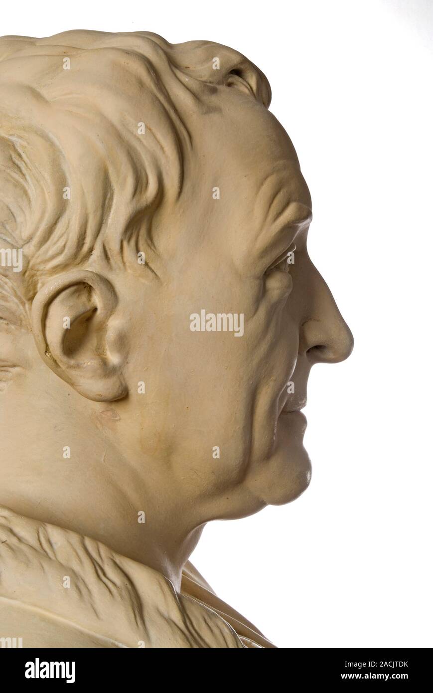 Carl Linnaeus (17071778), Swedish botanist and taxonomist. This bust