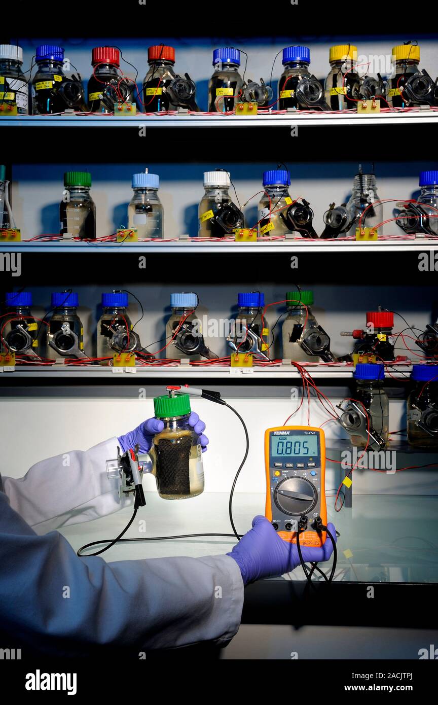 Microbial fuel cells. Researcher testing the electrical output of a