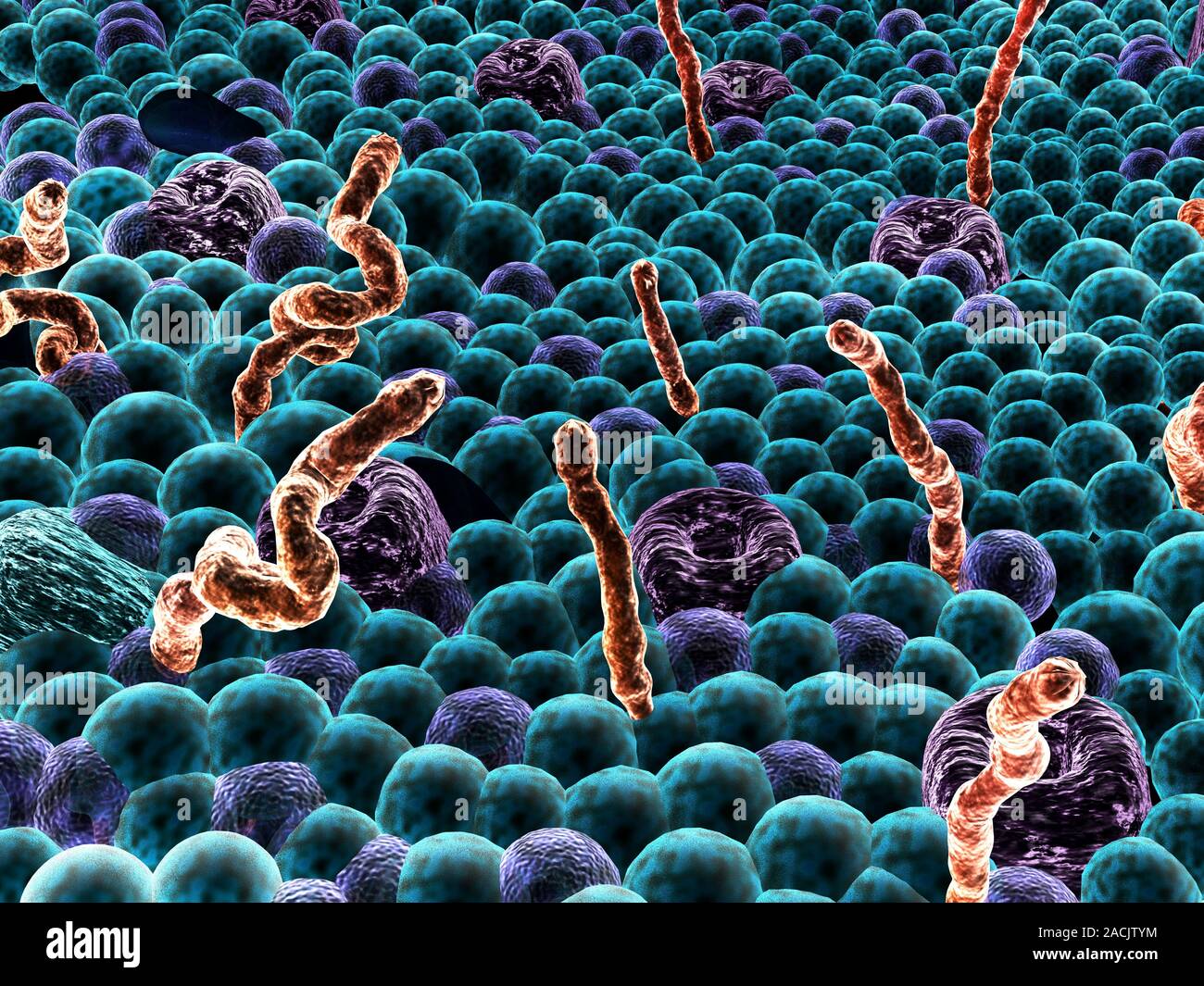 бактерии просто устроенные организмы. бактерии просто устроенные организмы. бактерии-просто устроенные микроскопические организмы. одноклеточные бактерии. вирусы бактерии микробы.