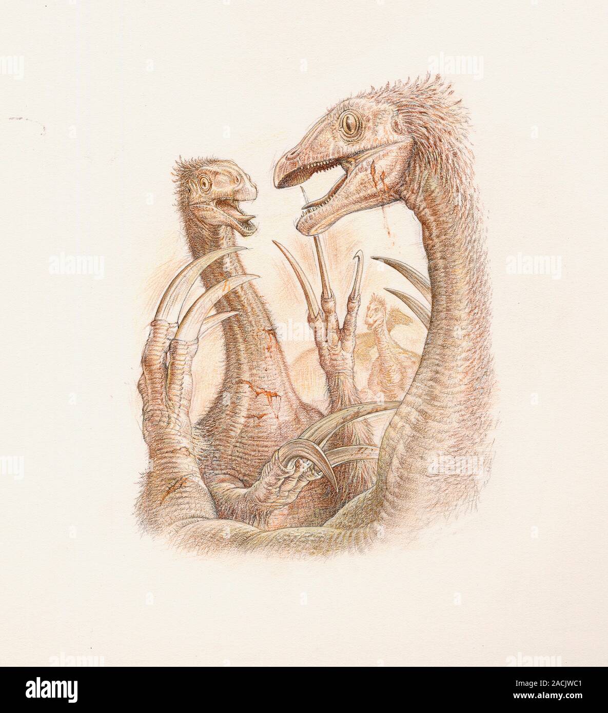 Beipiaosaurus dinosaurs. Beipiaosaurus is one of the largest known ...