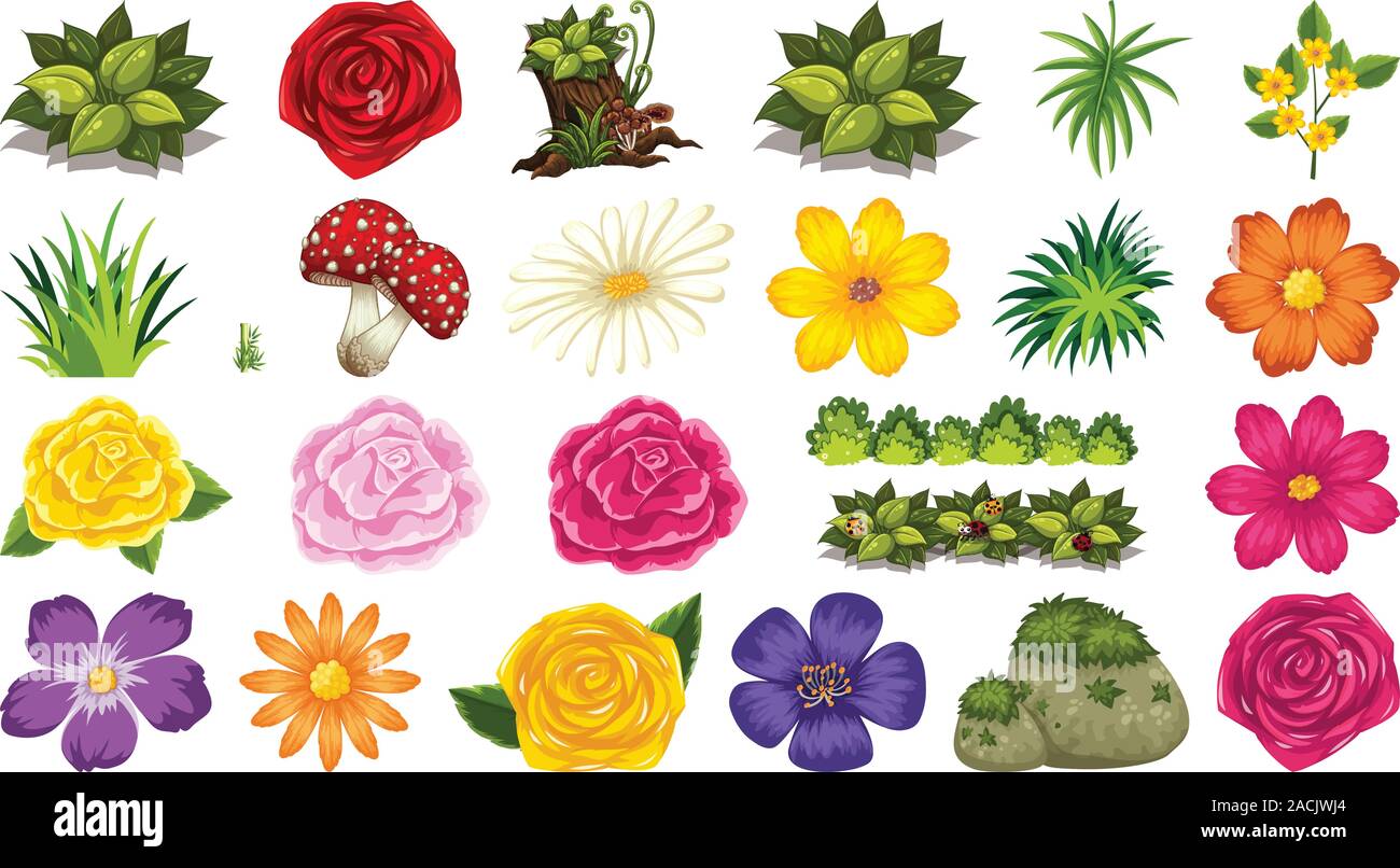 Set of isolated objects theme - flowers illustration Stock Vector