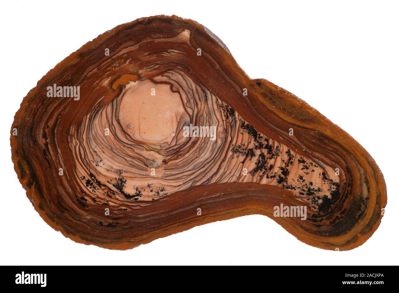 Jasper Stone Porn