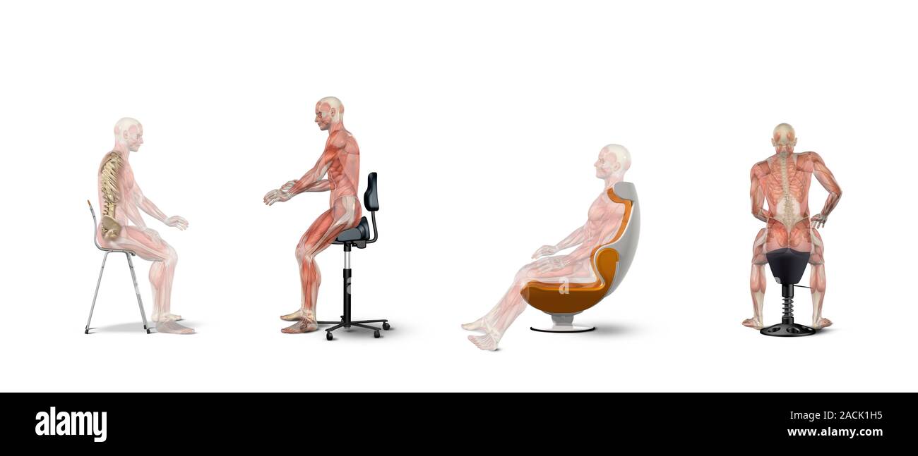 Position In Chair How Do The Joints Of The Person Sitting On The Chair Differ From The ...
