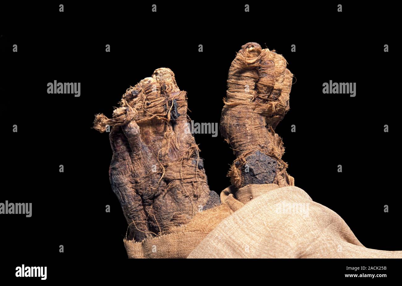 Ramases IV mummy. Mummified feet of the Egyptian Pharaoh Rameses IV