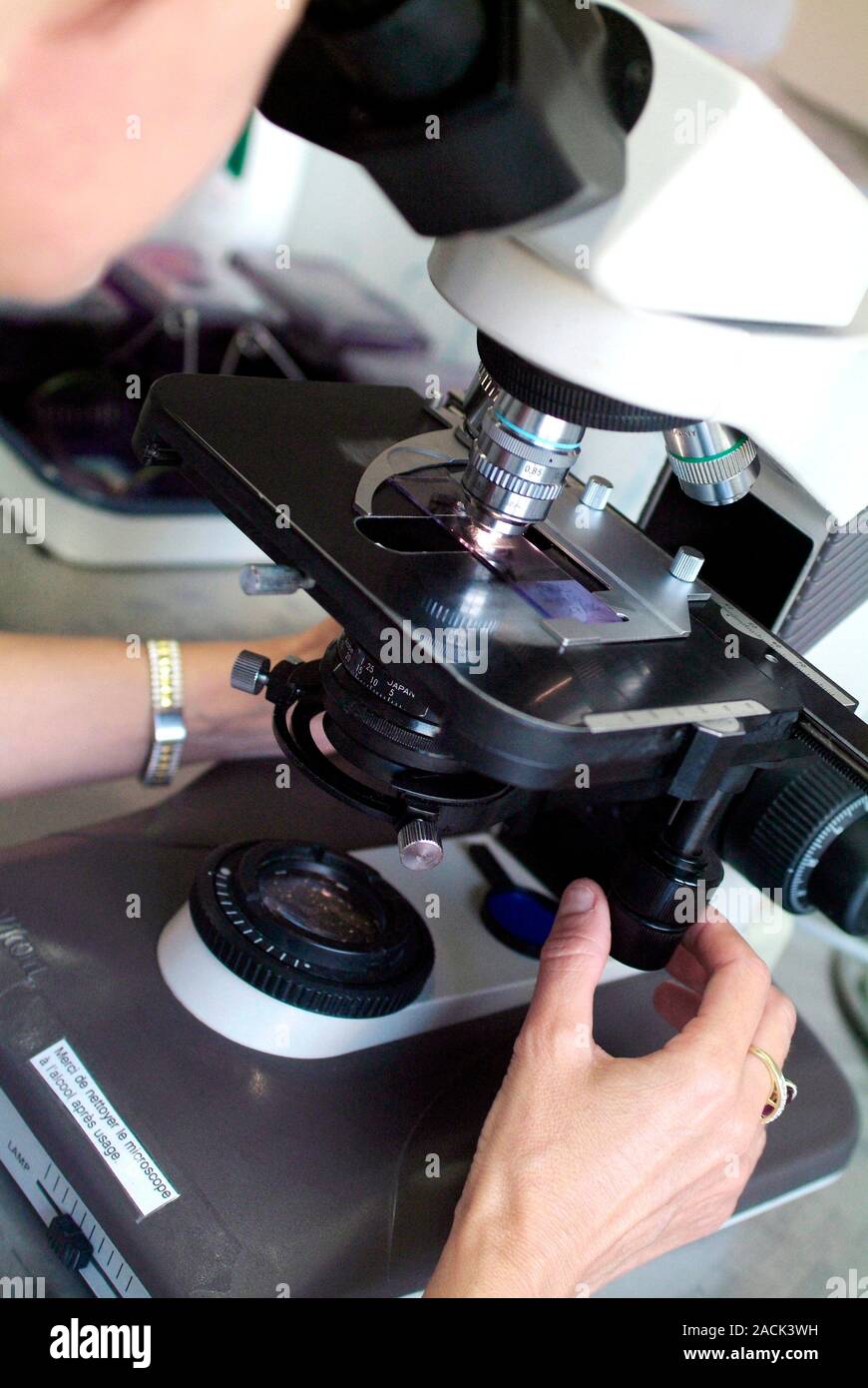 Microscopy. Scientist analysing a specimen under a light microscope