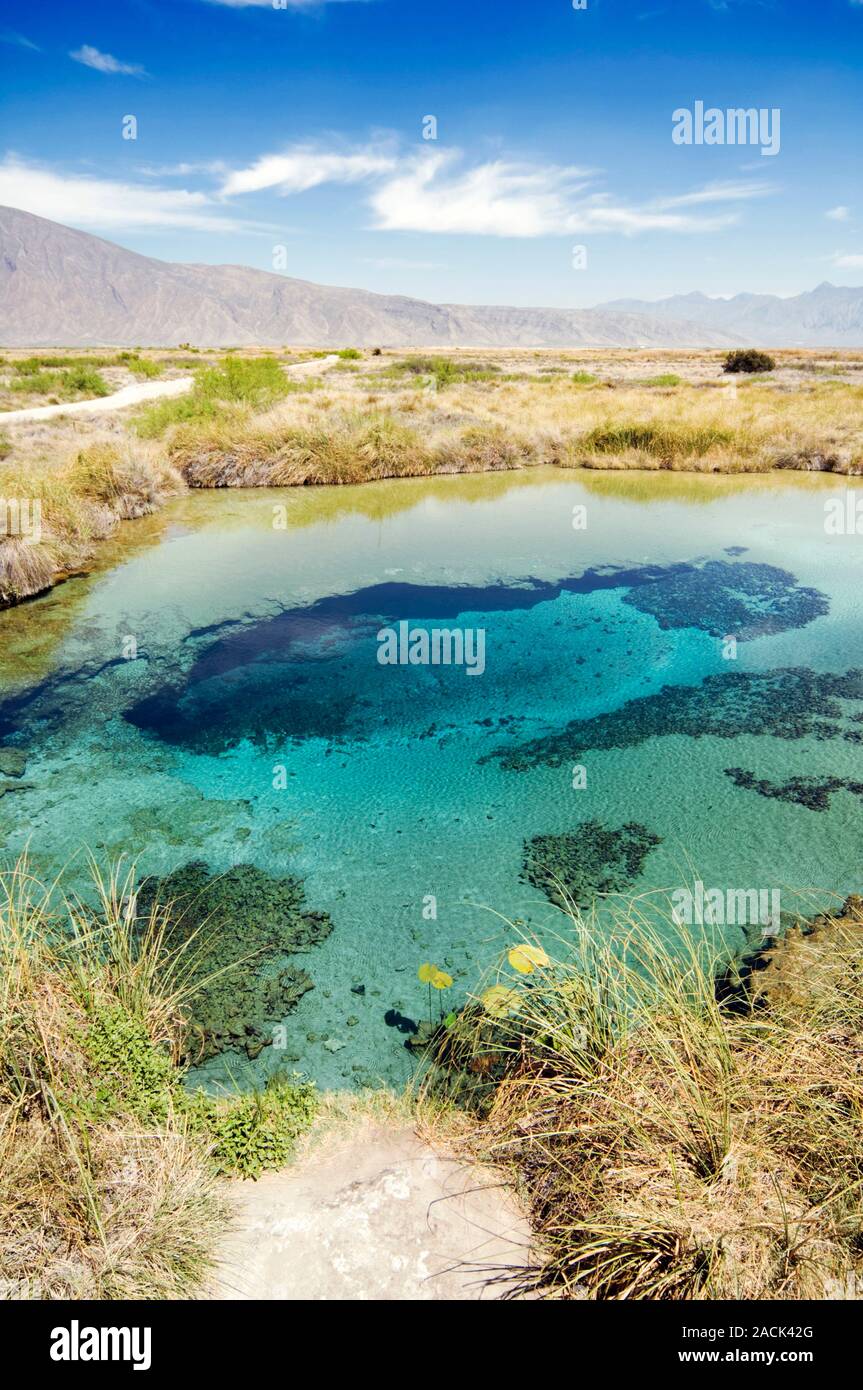 Geothermal pool. Colourful water caused by minerals dissolved in the