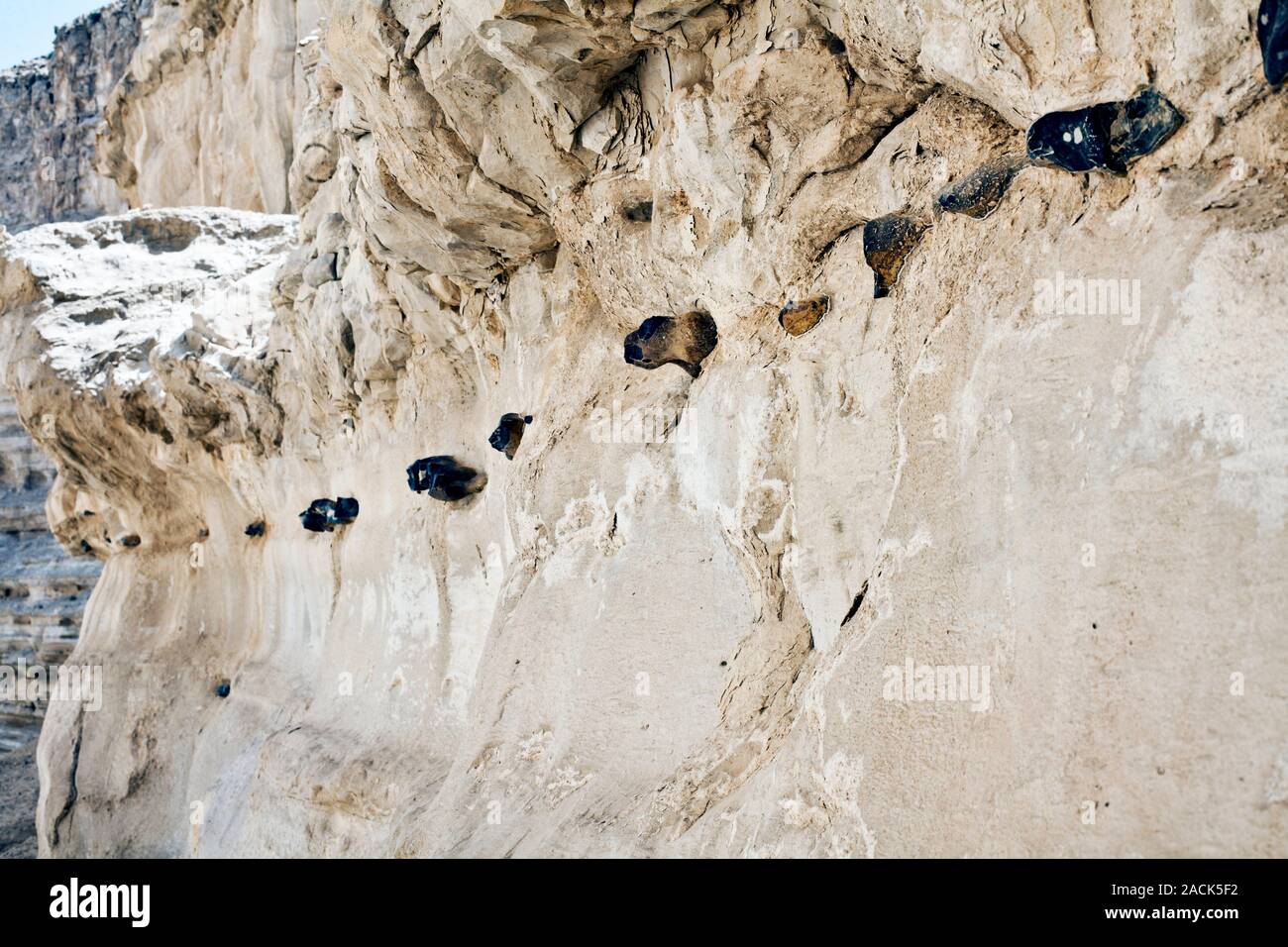 Chert nodules (black) in chalk, formed by concretionary enrichment of