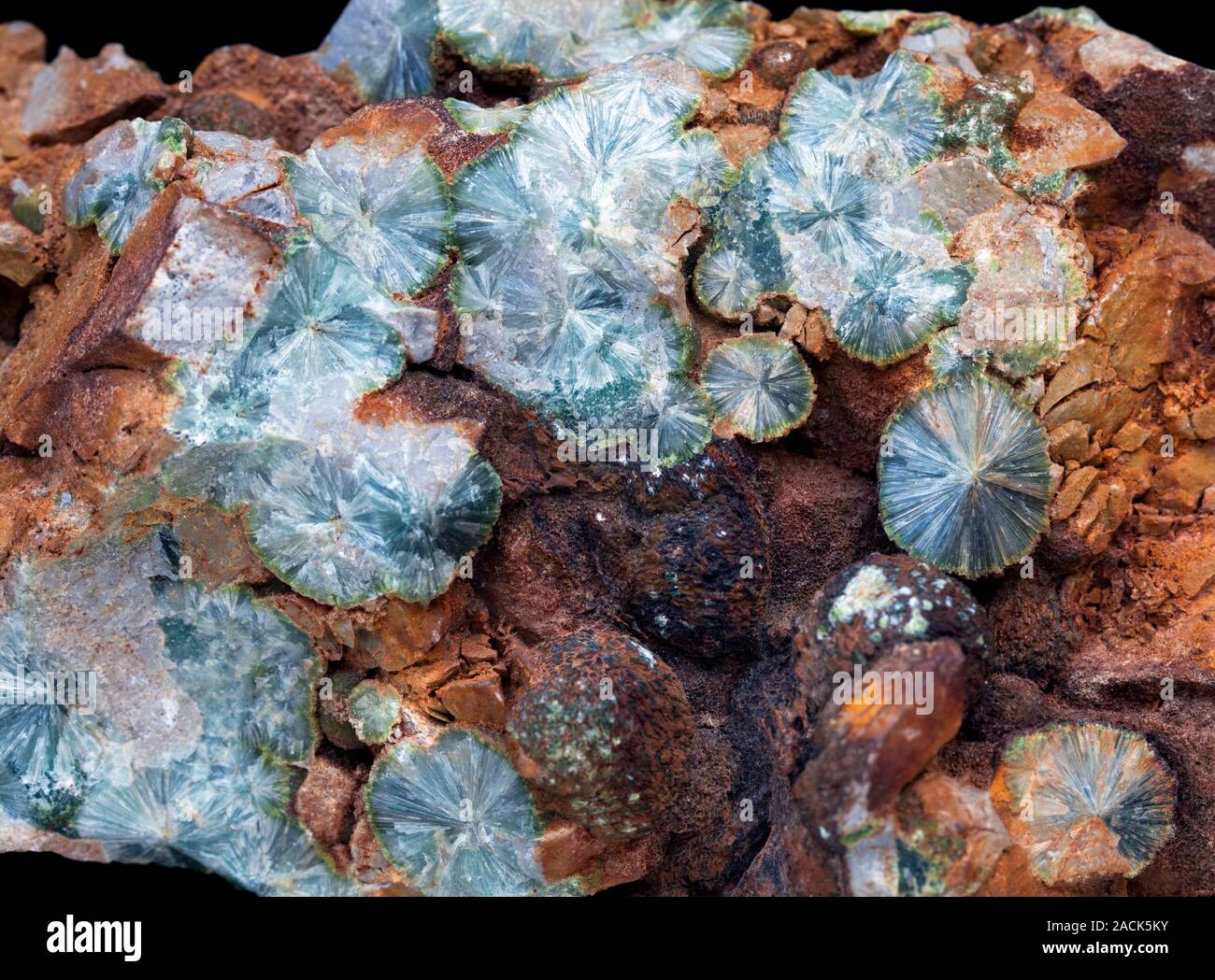 Wavellite, an alumino-phosphate mineral, chemical formula Al3(PO4)(OH,F ...
