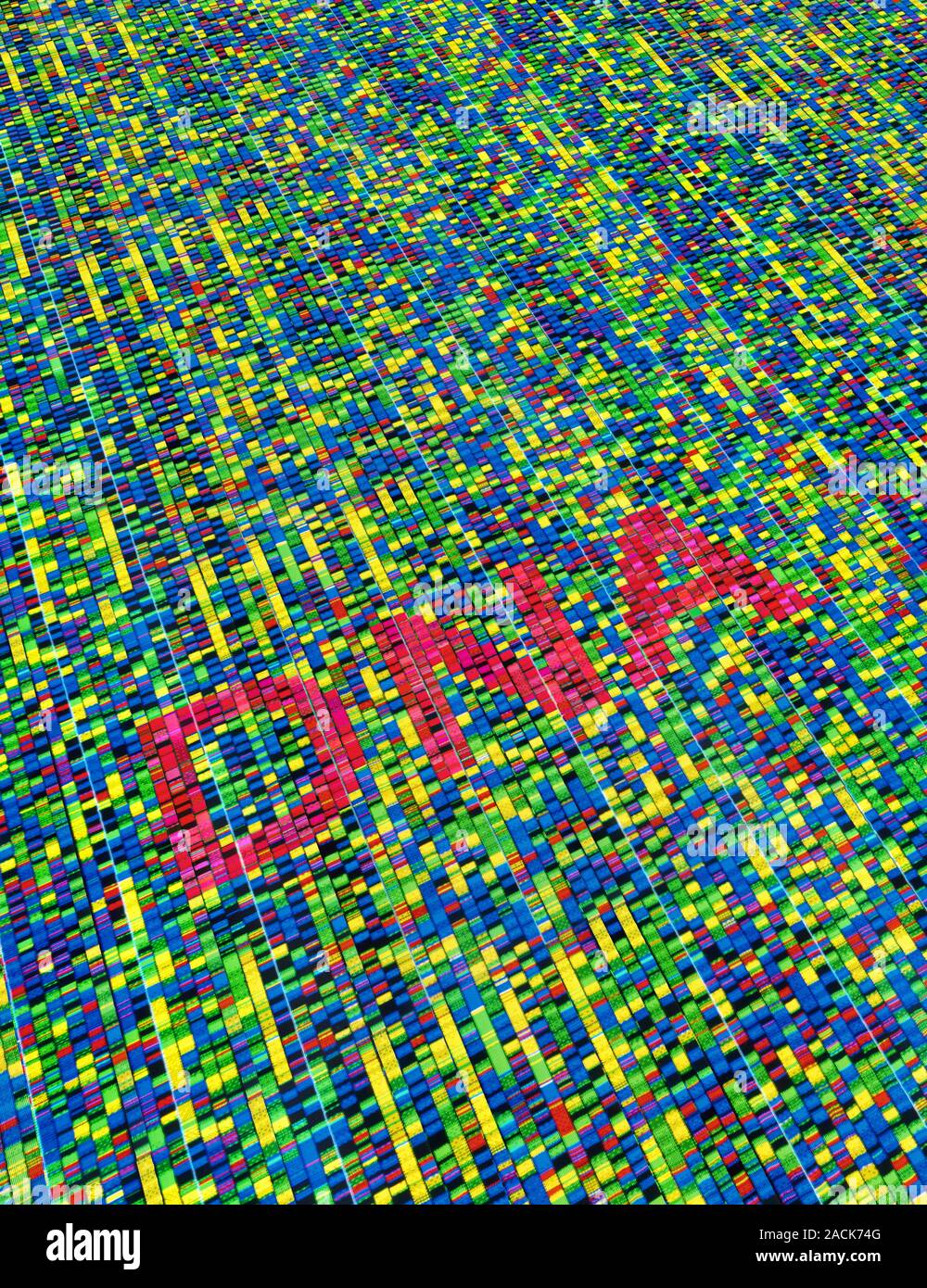 Conceptual computer artwork of DNA fingerprinting used to prove family