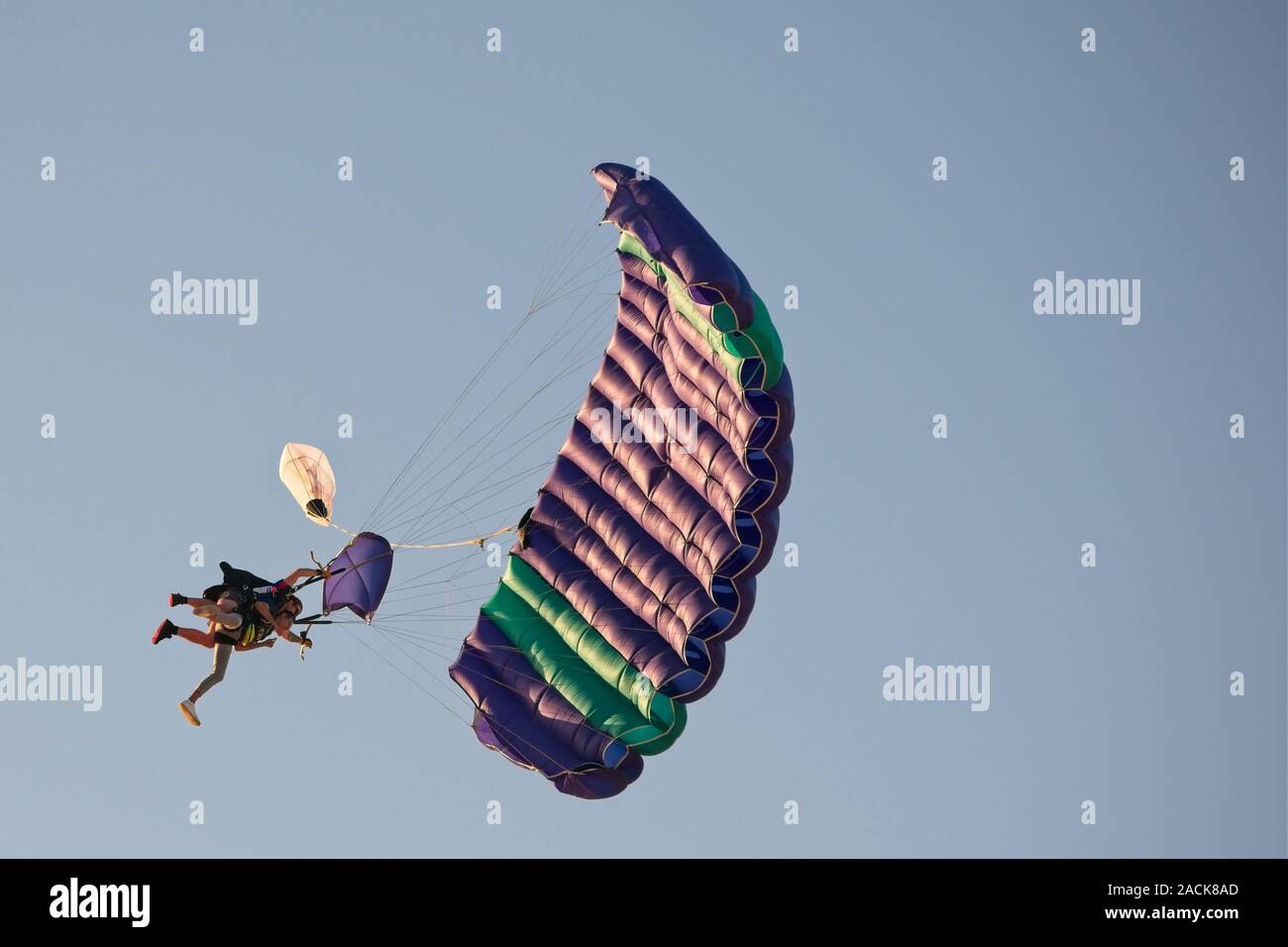 Currimundi, Qld, Australia - September 22, 2019: Tandem skydiving is popular by tourists who visiting the Sunshine Coast. Stock Photo
