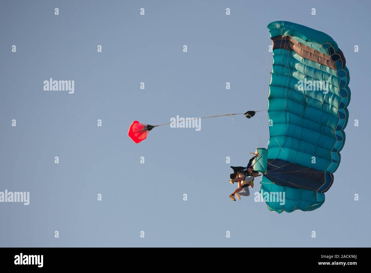 Currimundi, Qld, Australia - September 22, 2019: Tandem skydiving is popular by tourists who visiting the Sunshine Coast. Stock Photo