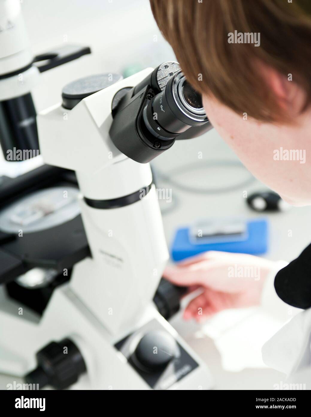 Scientist using a microscope in a science laboratory. Stock Photo